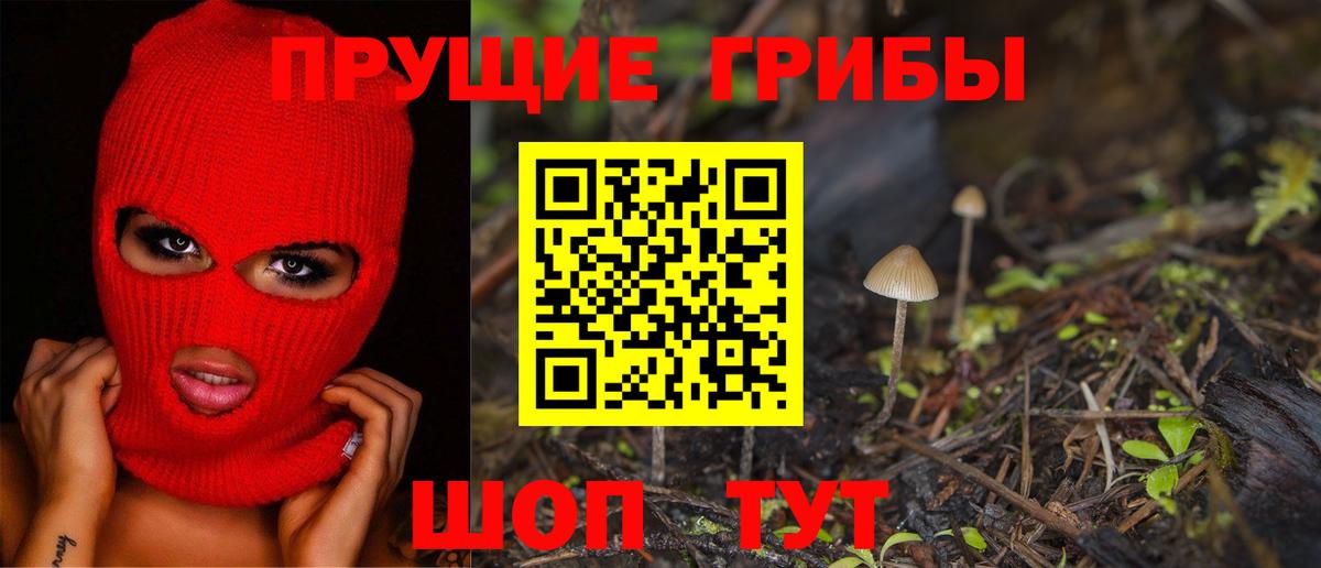 Галлюциногенные грибы Psilocybe Геленджик